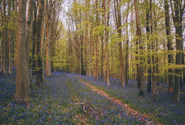 The Paddock Notebook